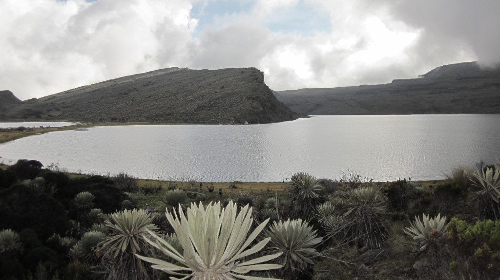 Laguna_de_Chisacá,_Páramo_de_Sumapaz,_Colombia